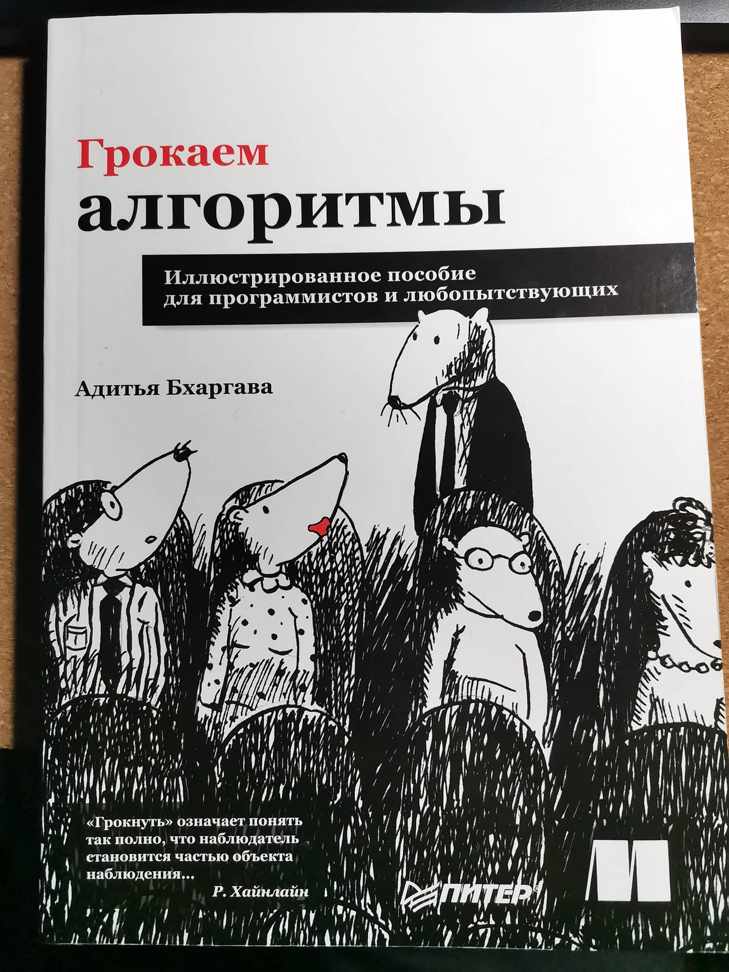 Грокать алгоритмы. Адитья Бхаргава Грокаем алгоритмы. Грокаем алгоритмы книга. Адитья Бхаргава Грокаем алгоритмы fb2. Грокаем алгоритмы java.